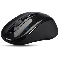 װأRapoonano3000ѧ ɫ