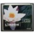 鿴Ʒ:ʿ٣Kingston2G CF洢(CF/2GB)