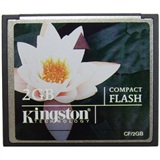 ʿ٣Kingston2G CF洢(CF/2GB)