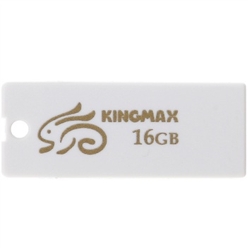 ʤKINGMAX 16G  ɫ